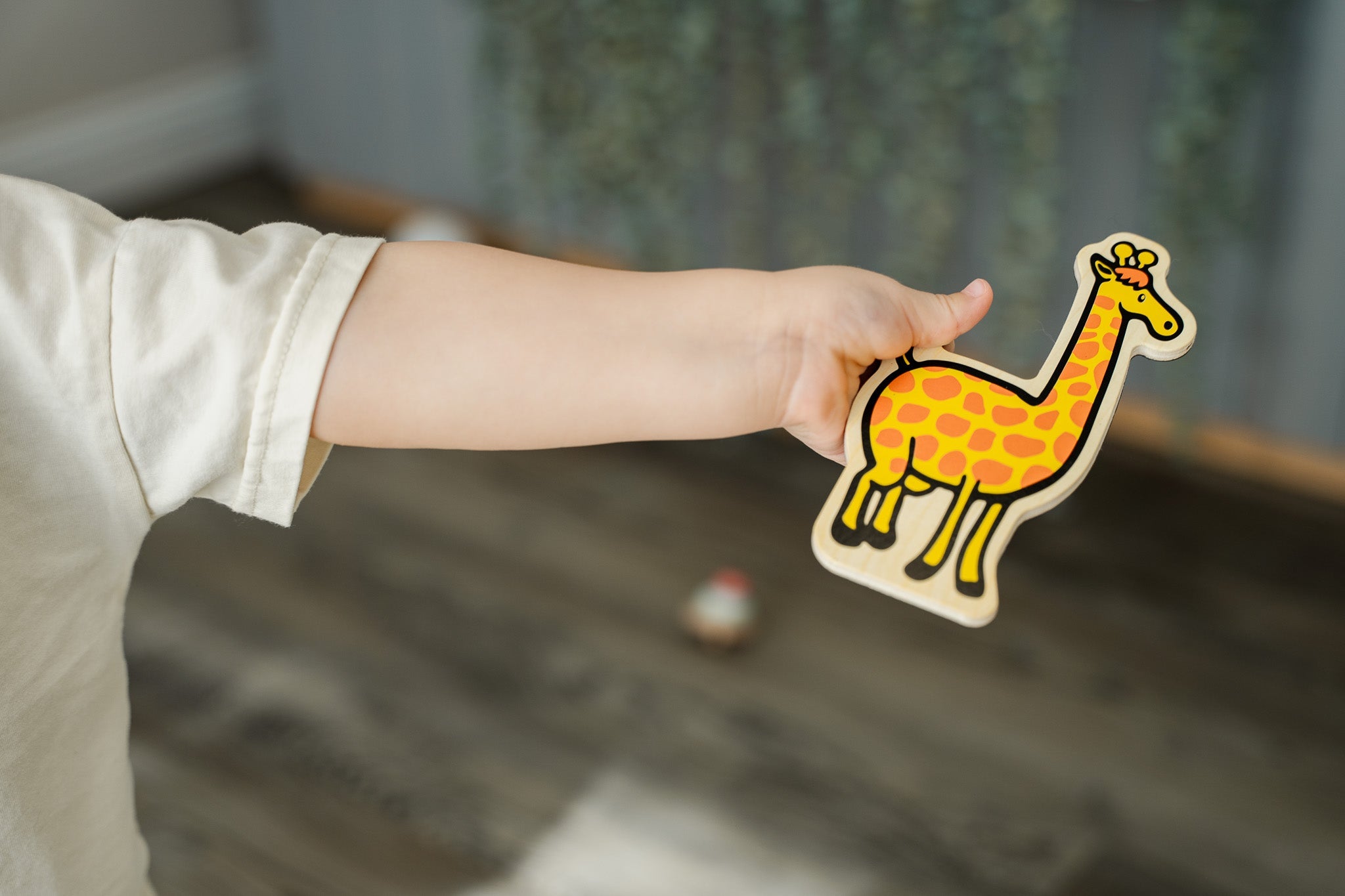 Meet The Animals (set of 20)