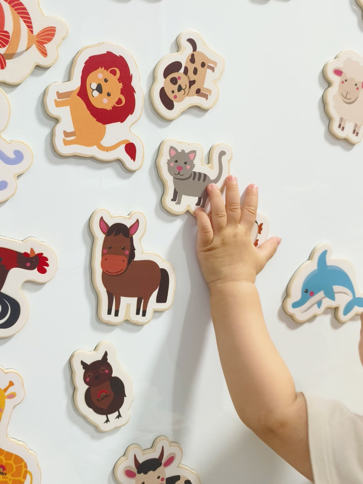 A hand of a toddler playing with Tix&Mix magnetic animals toys on a white magnetic wall decal.